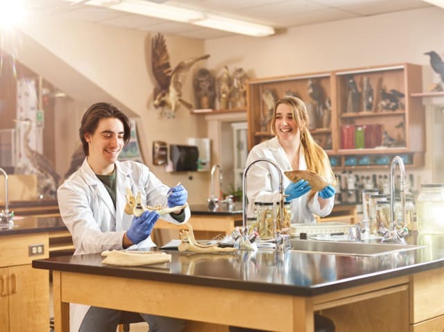 Deux étudiants identifient des spécimens en laboratoire