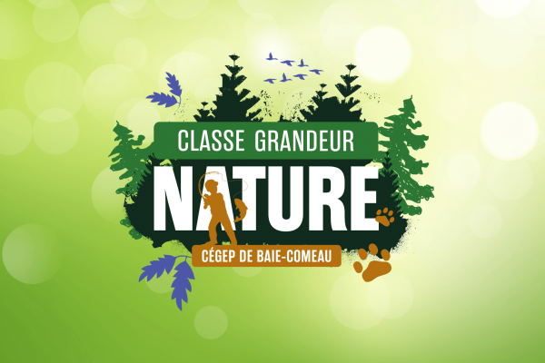 Classe grandeur nature-1-1080x1080